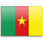 country flag cameroon