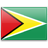 country flag guyana