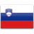 country flag slovenia