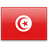 country flag tunisia